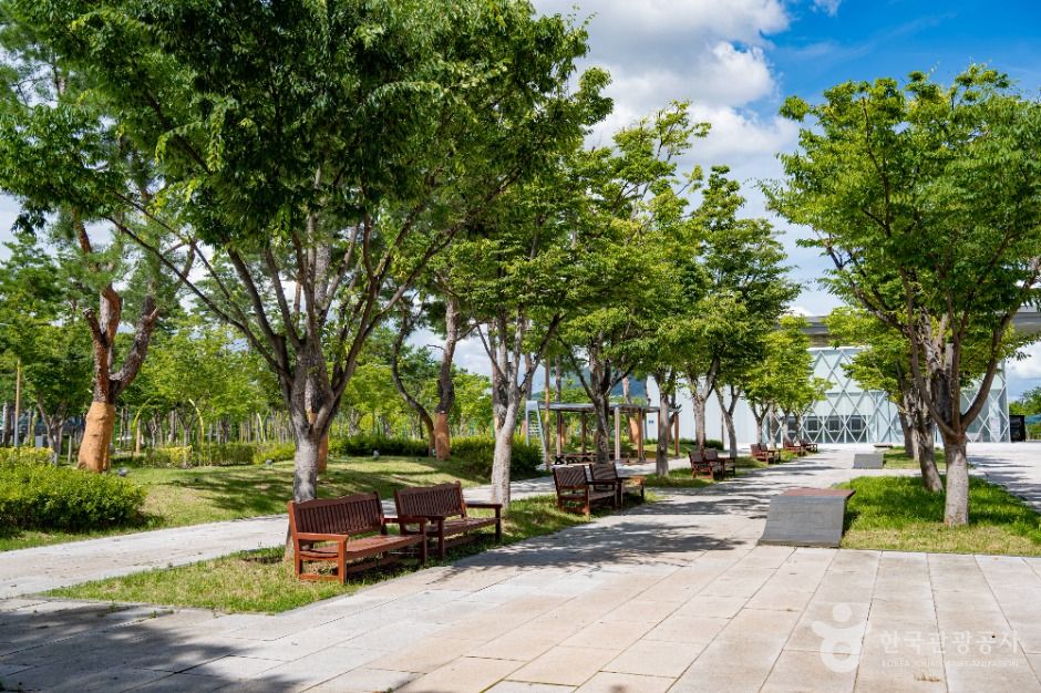 세종_세종중앙공원 (1)