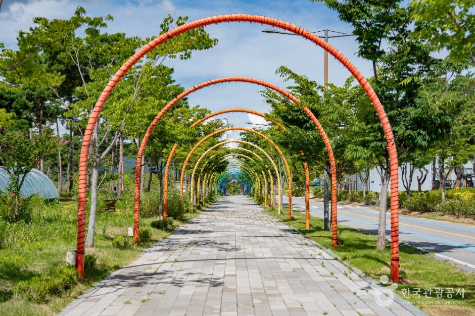 세종_세종중앙공원 (10)