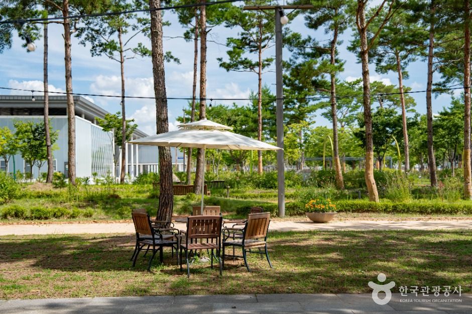 세종_세종중앙공원 (4)