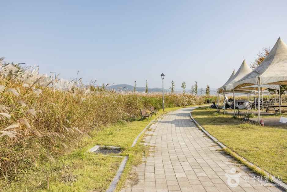 세종_숲뜰근린공원 (2)