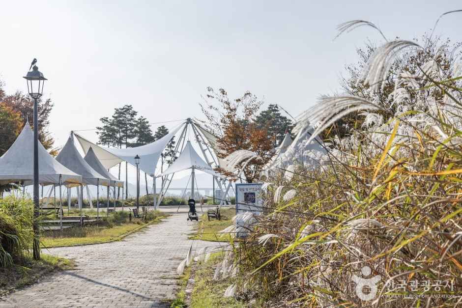 세종_숲뜰근린공원 (10)