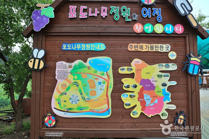 관광두레 세종 쌍류포도정원 기사 사진 10