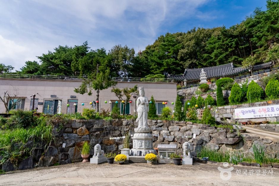 세종_청안사(세종) (1)