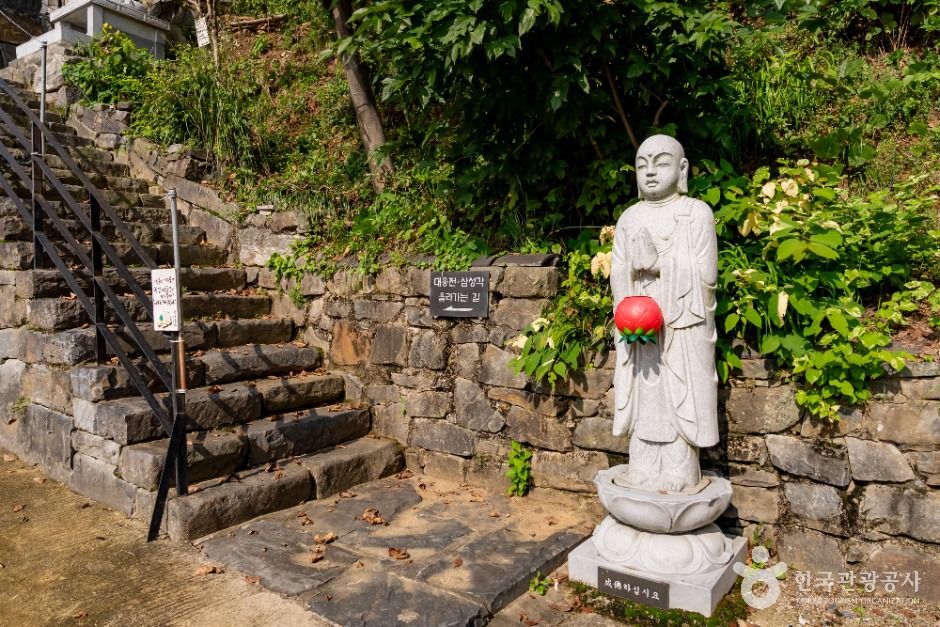 세종_청안사(세종) (2)