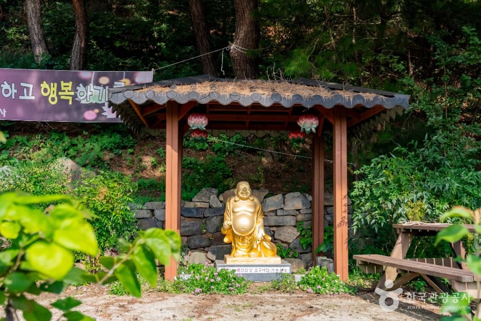 세종_청안사(세종) (4)