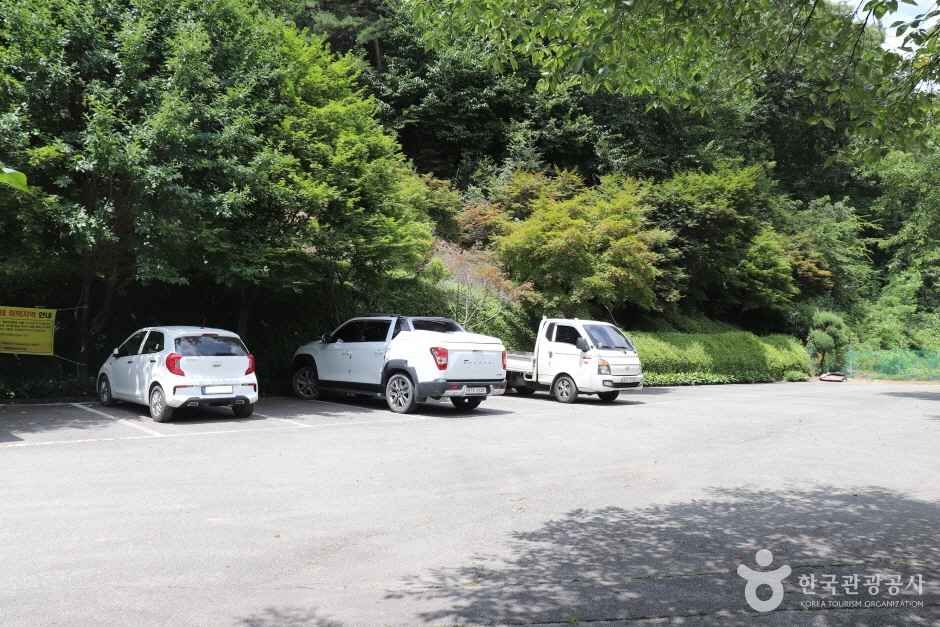 학림사(세종) (14)_e