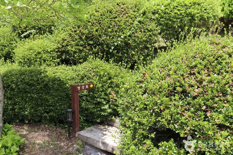 학림사(세종) (4)_e