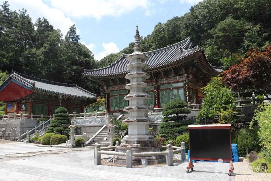 학림사(세종) (5)_e