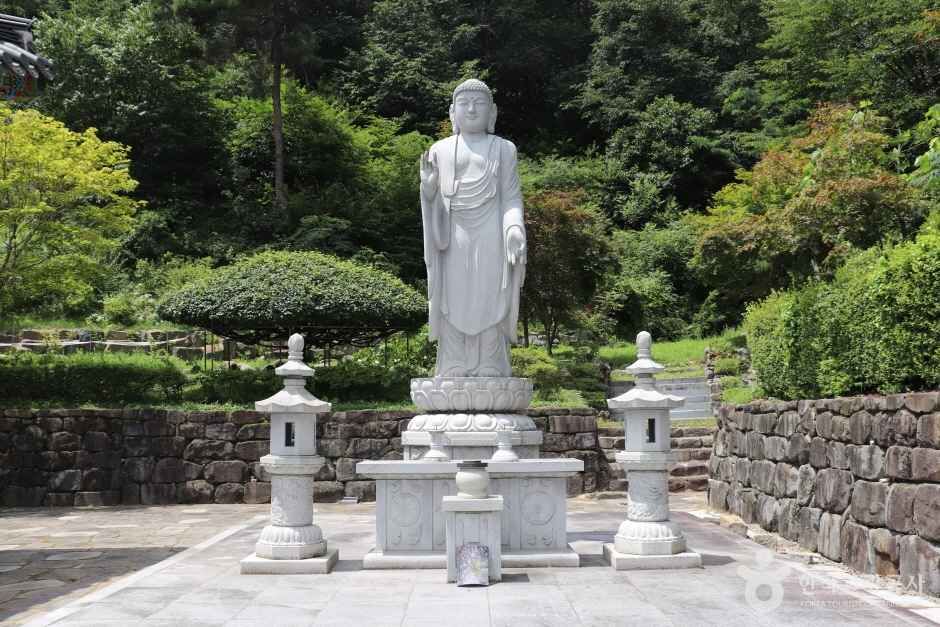 학림사(세종) (10)_e