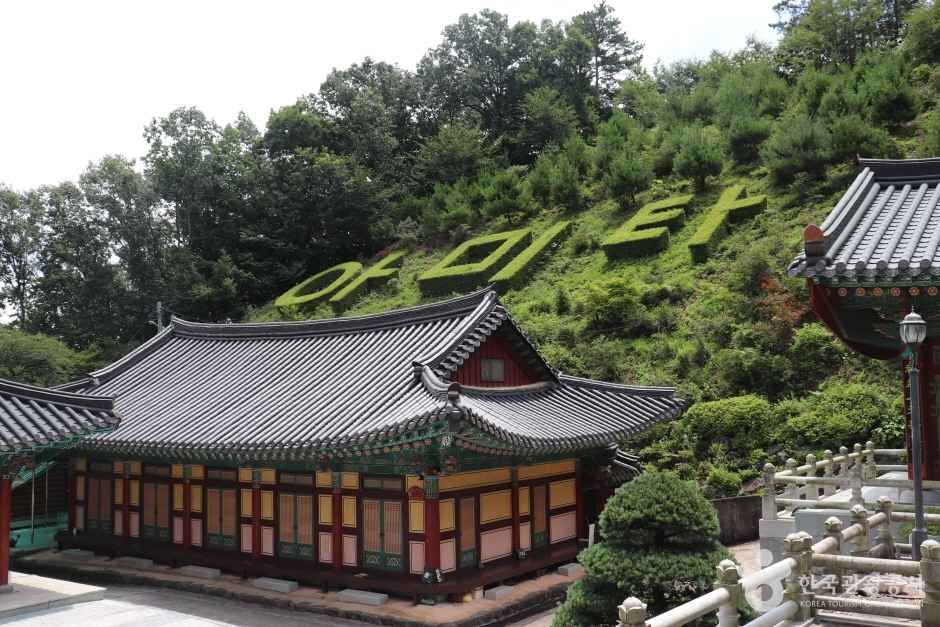 학림사(세종) (12)_e