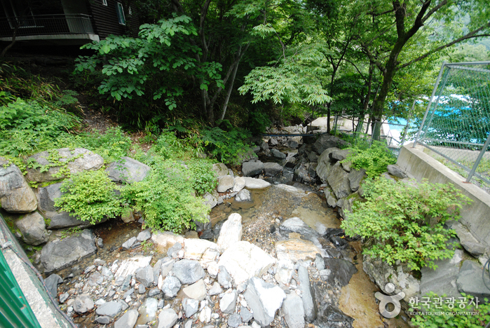 간월자연휴양림_19