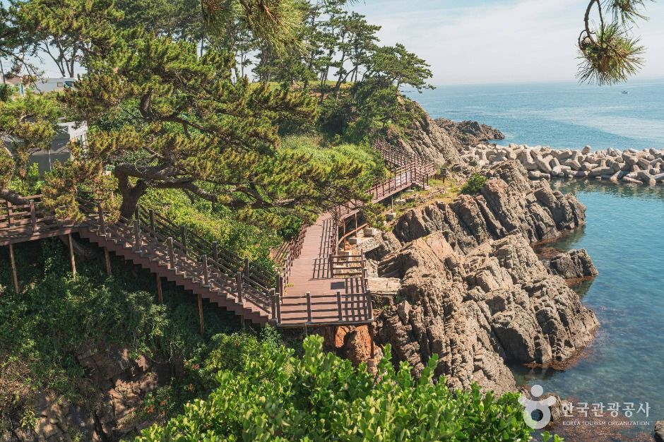 울산_강동사랑길 (2)