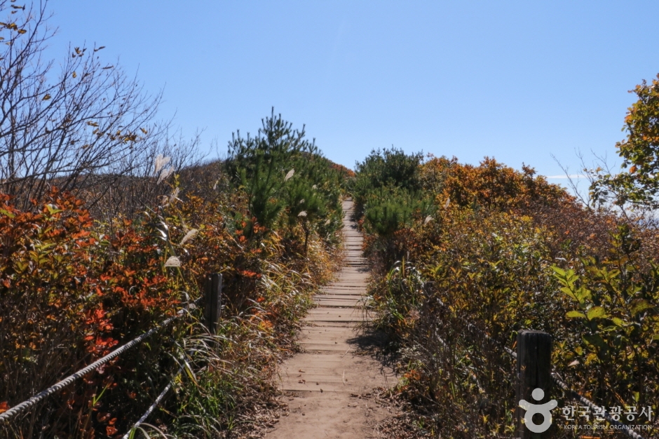 고헌산(울산) (3)