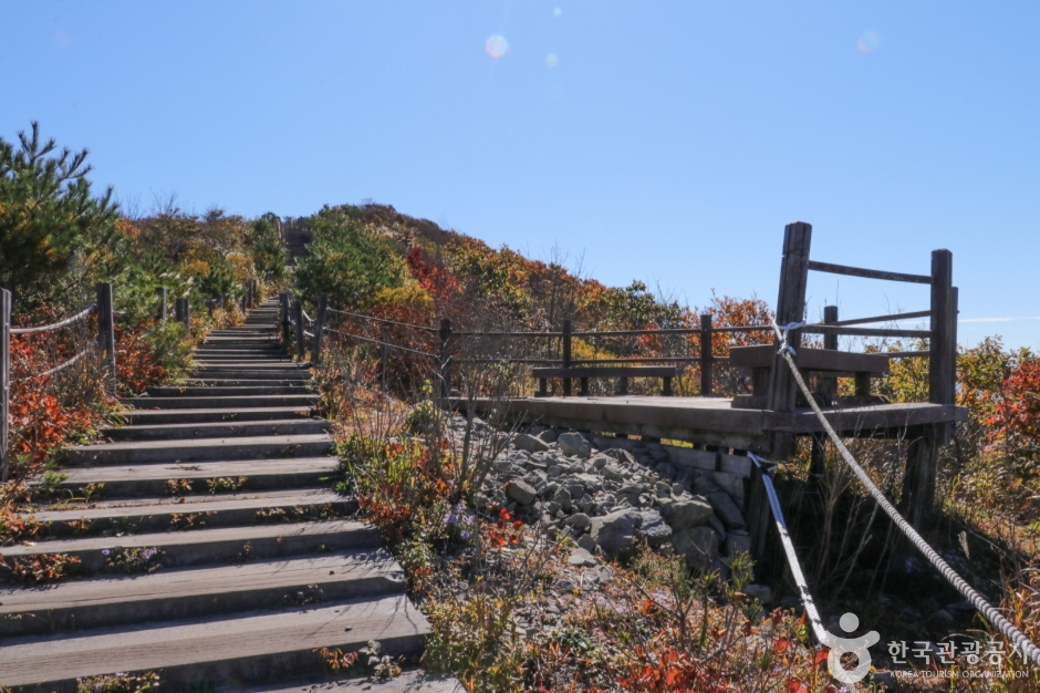 고헌산(울산) (4)