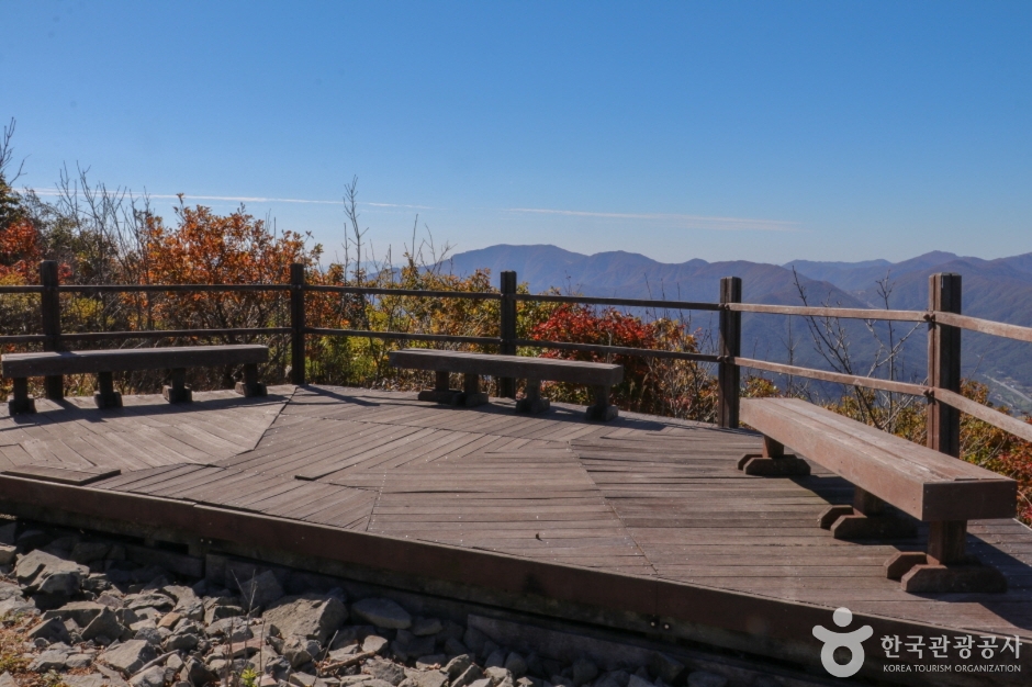 고헌산(울산) (5)