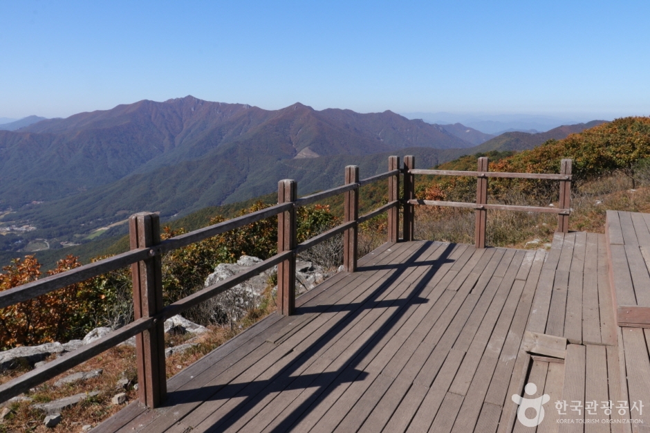 고헌산(울산) (10)