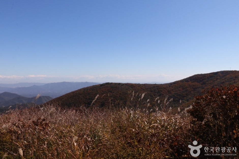 고헌산(울산) (17)