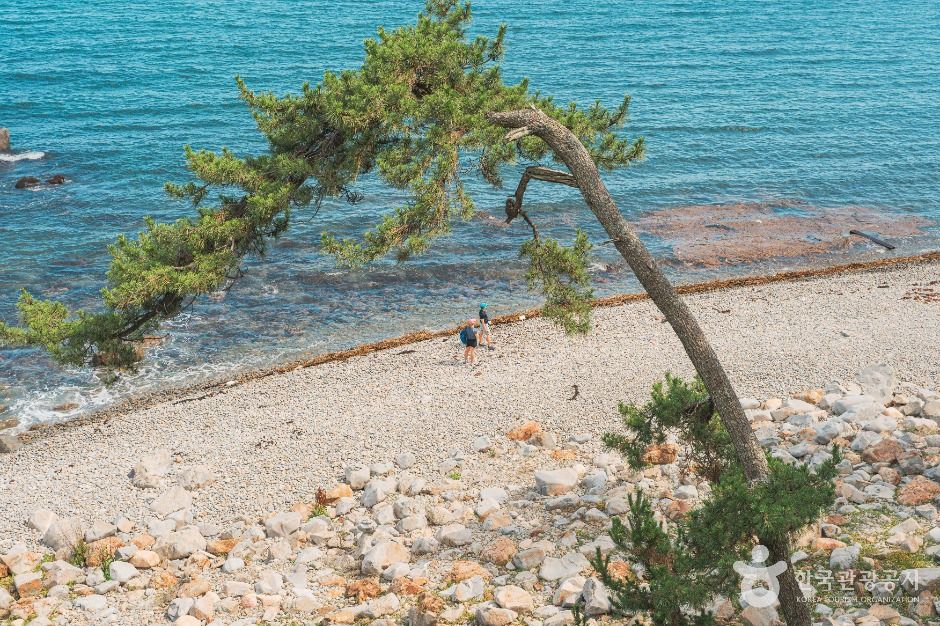 과개안(너븐개) 해안