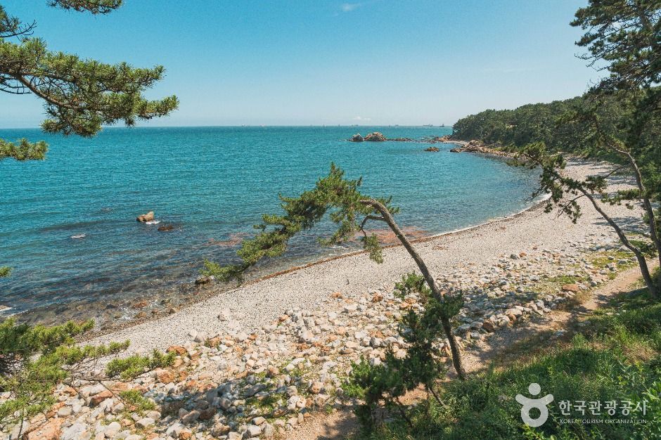 울산_과개안(너븐개) 해안 (2)