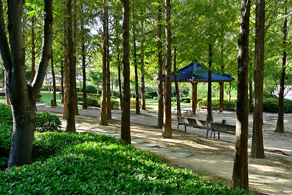 울산광역시_울주군_구영공원_11