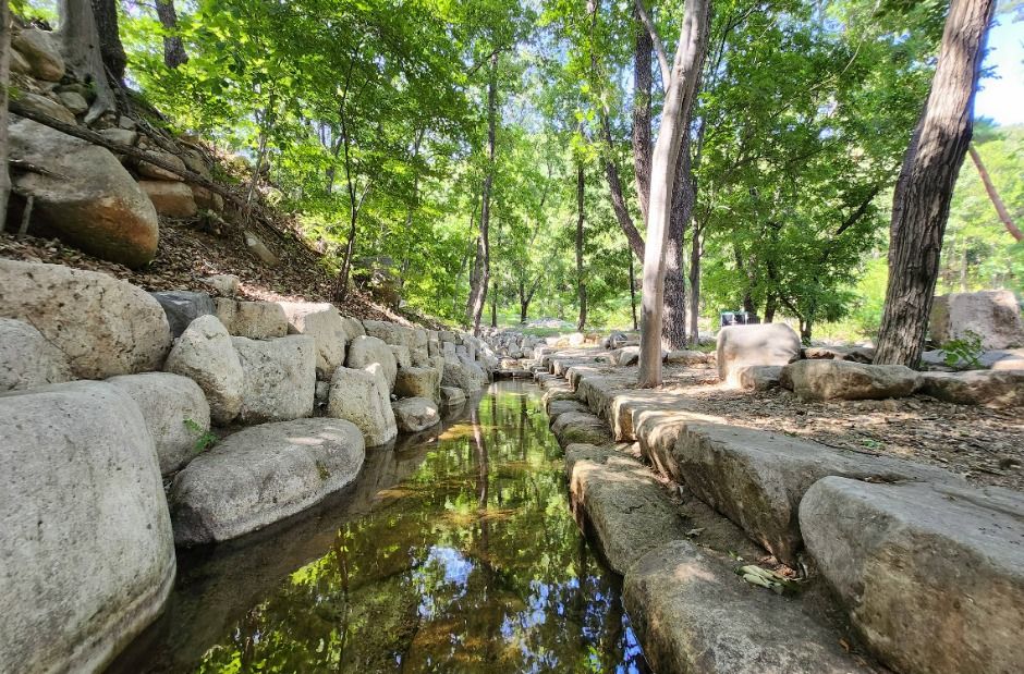 울주_국립대운산치유의숲 (2)