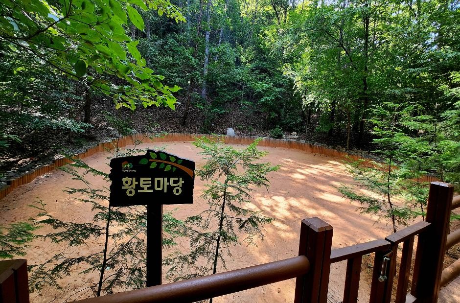 울주_국립대운산치유의숲 (3)