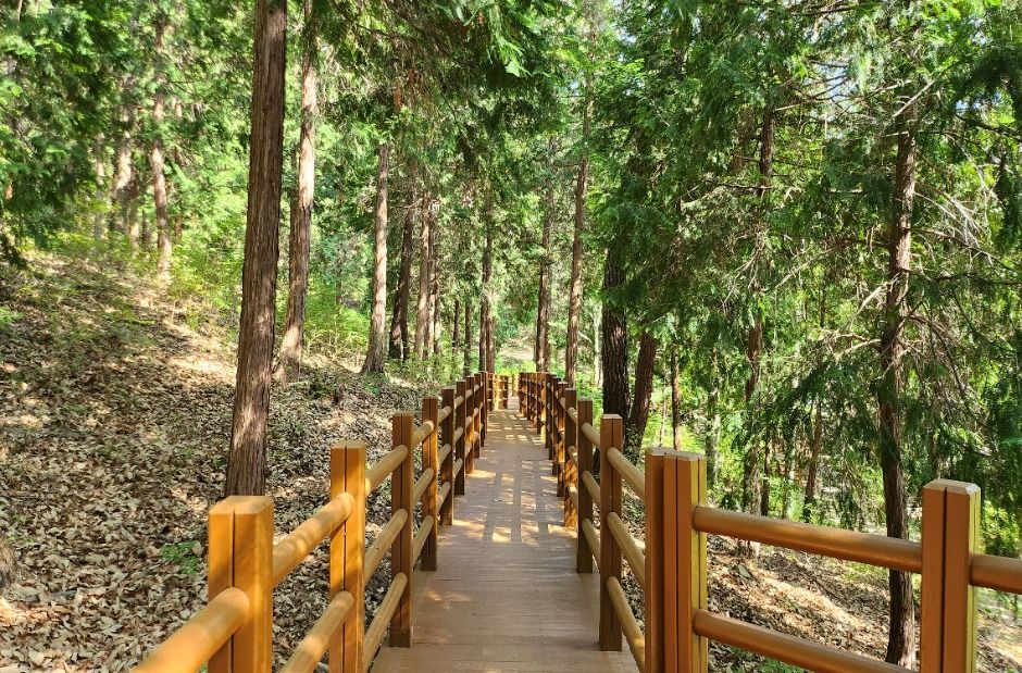 울주_국립대운산치유의숲 (5)