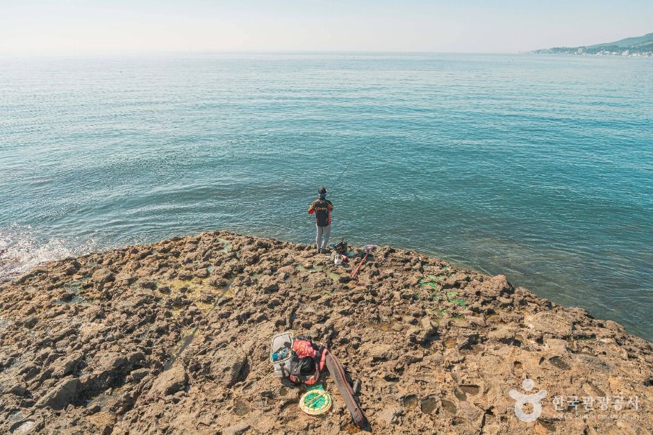 울산_당사해양낚시공원 (5)