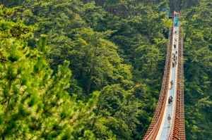 대왕암공원 출렁다리