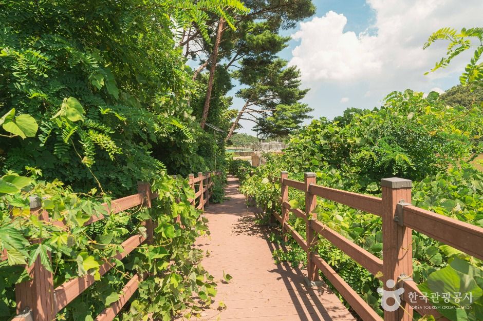 울주_두현저수지 (3)