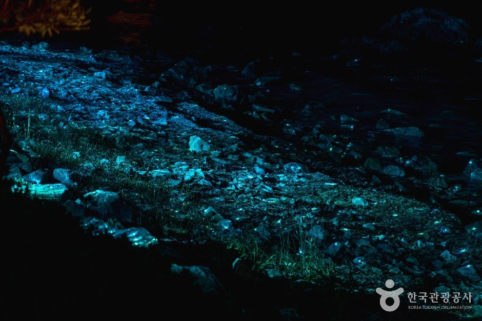 울주_명선도 (7)