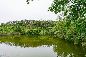 화동못수변공원