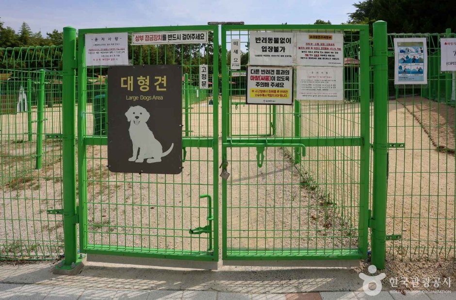 봉화재 반려견 놀이터 (6)