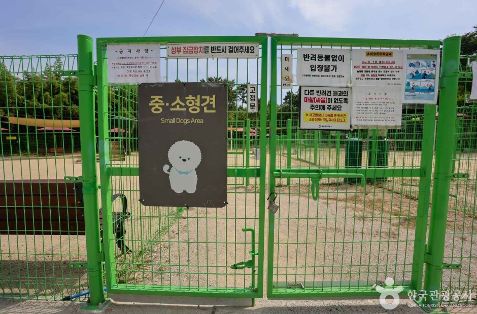 봉화재 반려견 놀이터 (7)