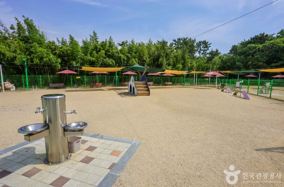 봉화재 반려견 놀이터 (1)