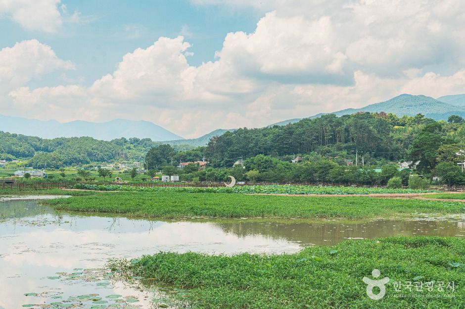 울주_불고기 팜 농어촌 테마공원 (1)