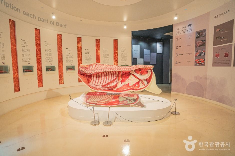 울주_불고기 팜 농어촌 테마공원 (6)