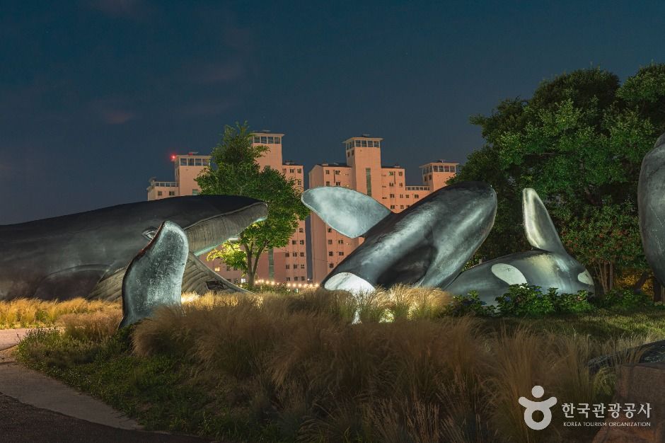 울산_빛의 공원 미디어아트 (2)