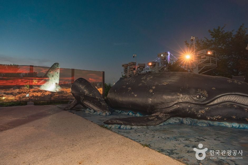 울산_빛의 공원 미디어아트 (3)