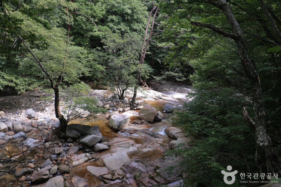 석남사계곡 (5)