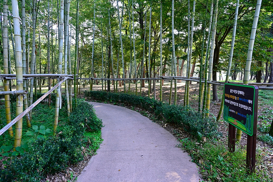 울산광역시_울주군_선바위 공원_37