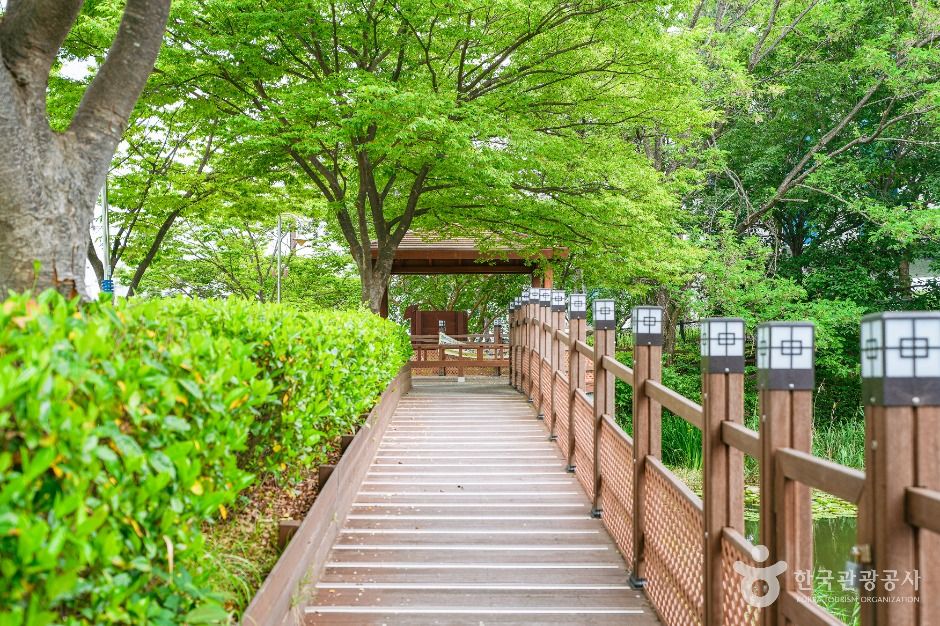 울산_성안숯못생태공원 (4)