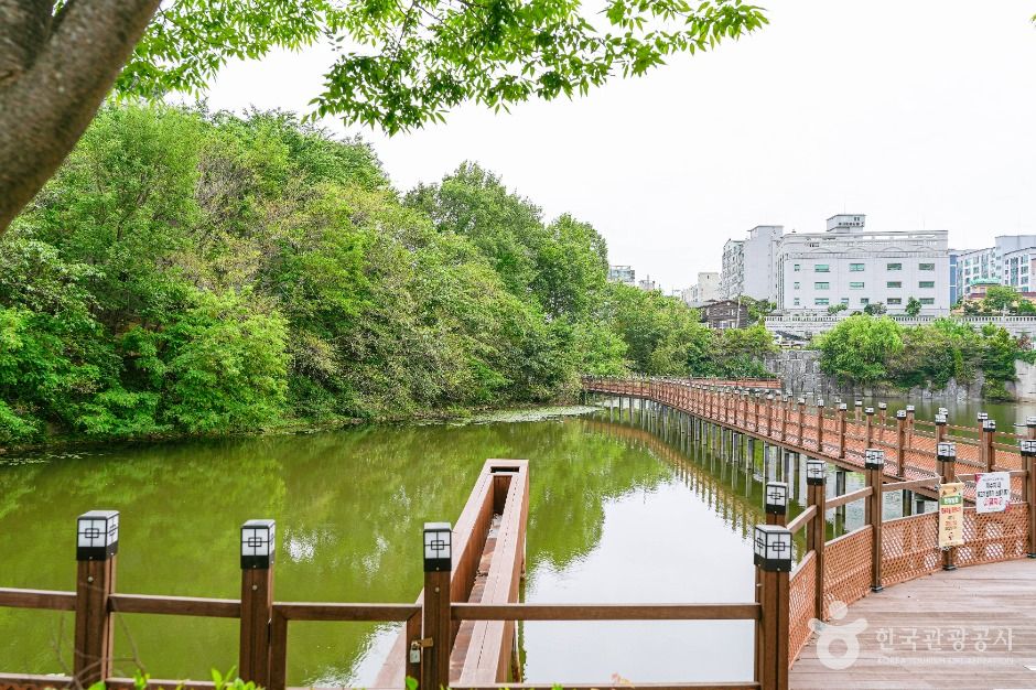 울산_성안숯못생태공원 (5)