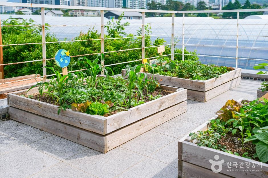 울산_세대공감창의놀이터 (5)