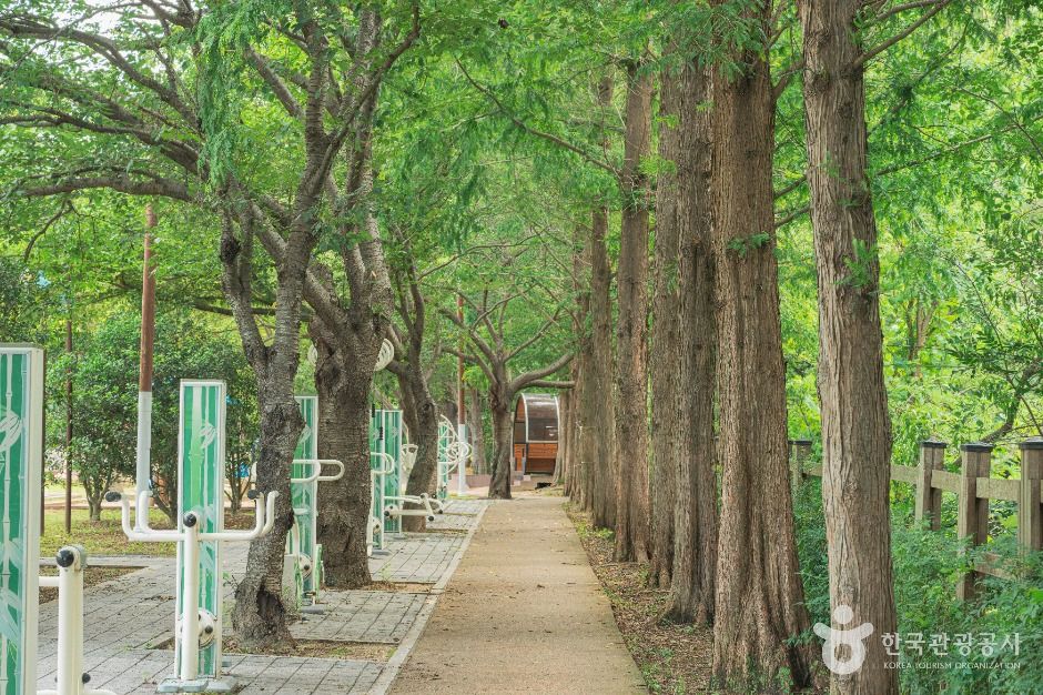 울산_오치골공원 (6)