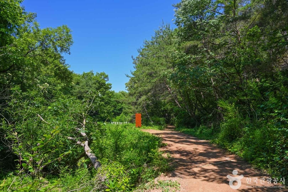 2024 관광두레 7월기사 울산 울주 와나스타 5