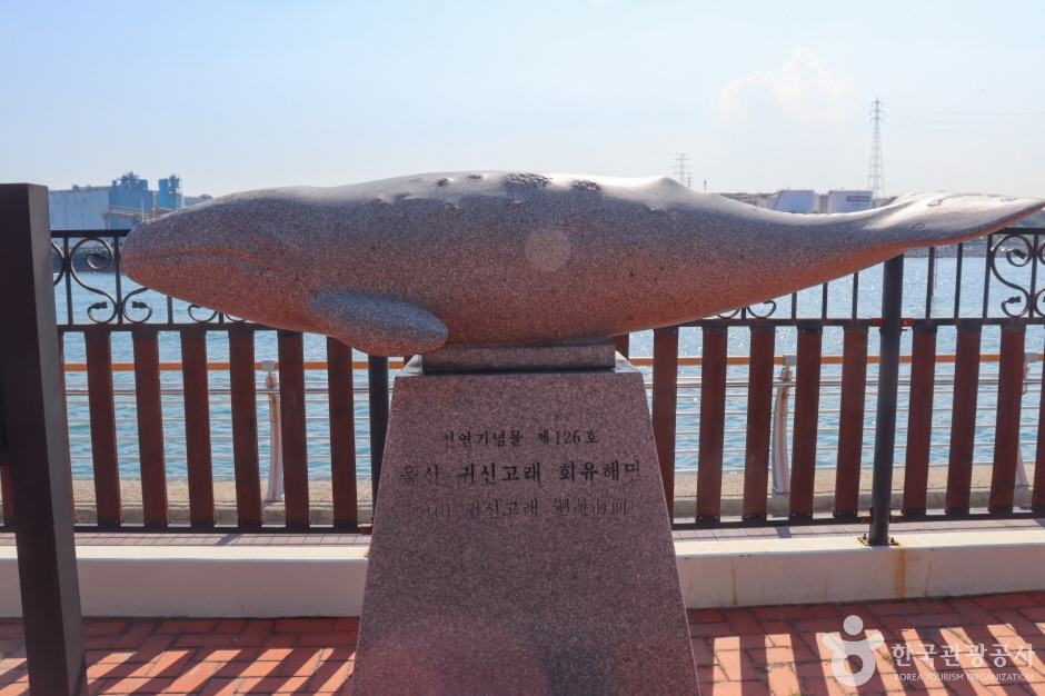 울산귀신고래회유해면 (3)