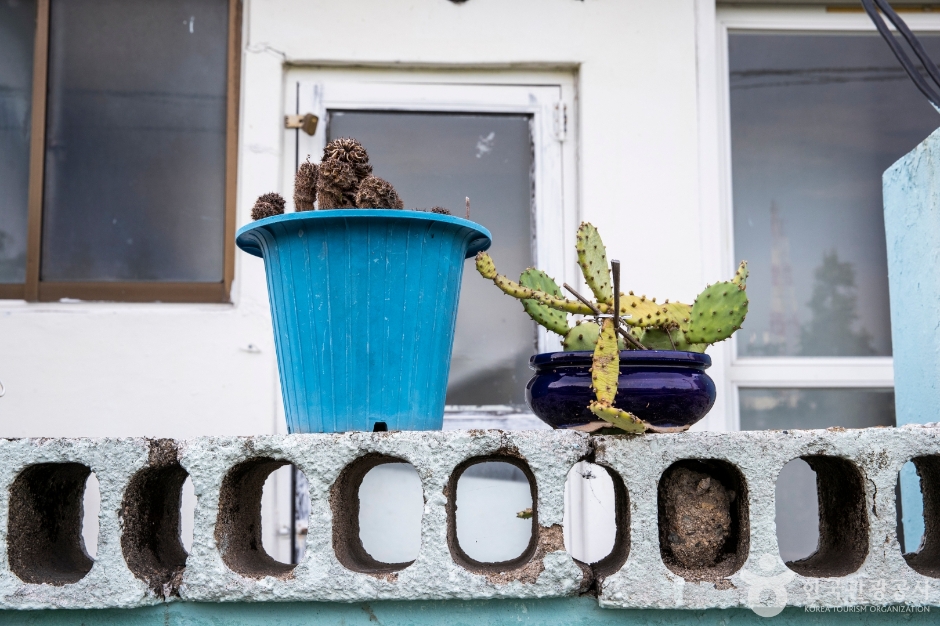 울산 신화마을 (25)