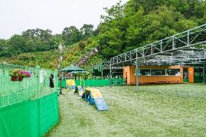 울산애견공원