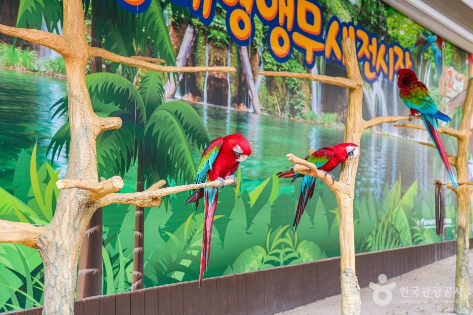 울산_남구_울산대공원 동물원 (4)